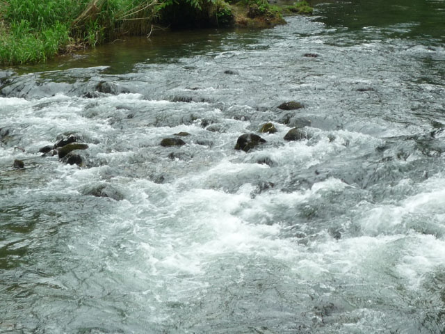渓流の写真画像