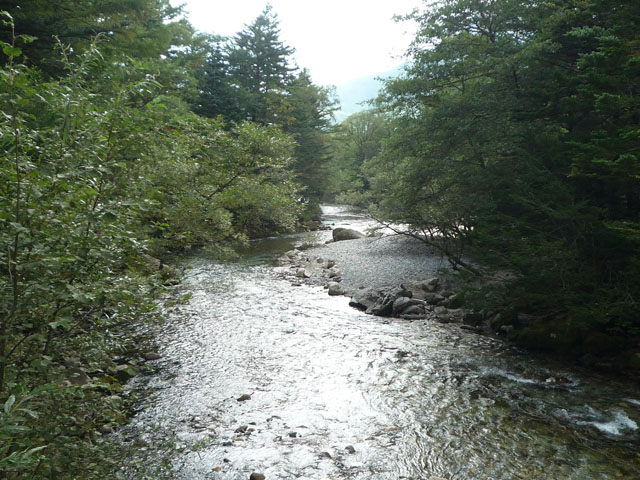 川の写真画像