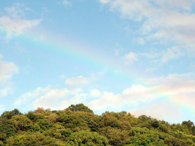 虹の写真画像