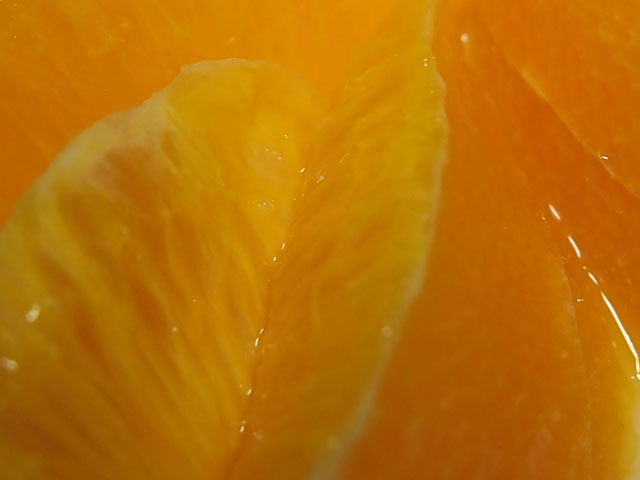 オレンジの写真画像