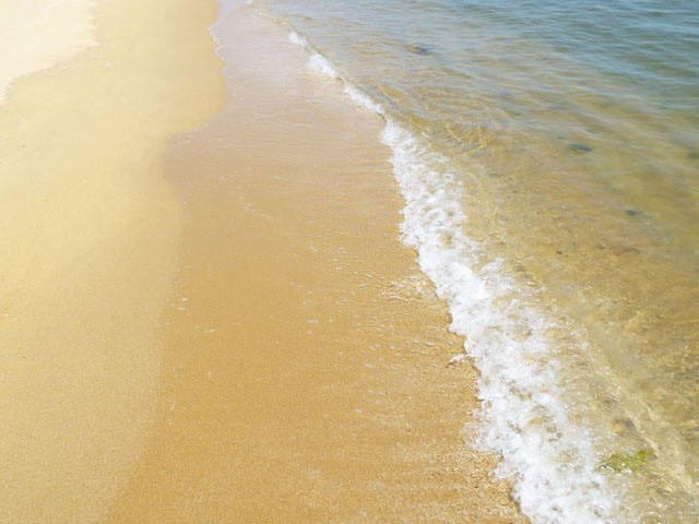 浜辺の波の写真画像