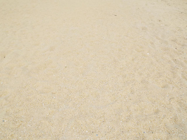砂浜の写真画像