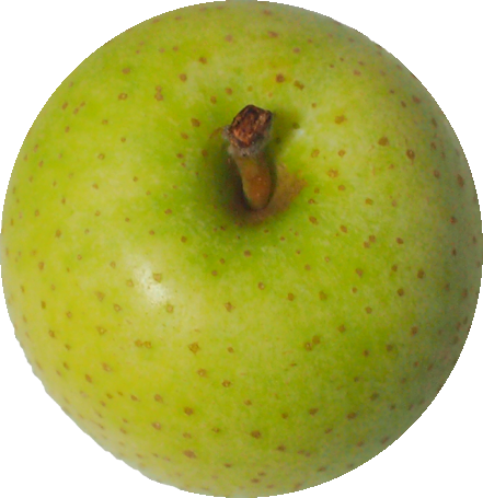 青リンゴの切抜き画像1