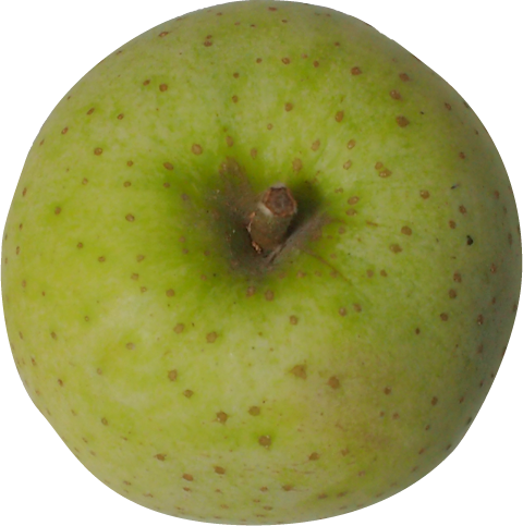 青リンゴの切抜き画像5