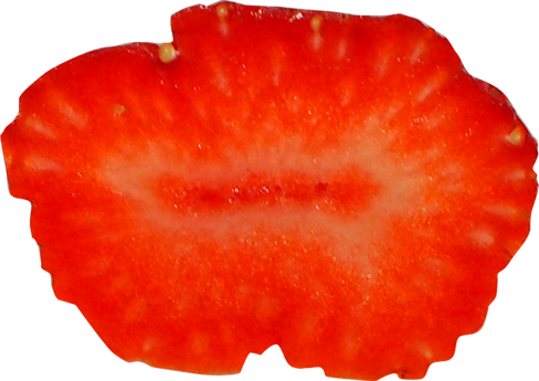 カットイチゴの切り抜き画像5
