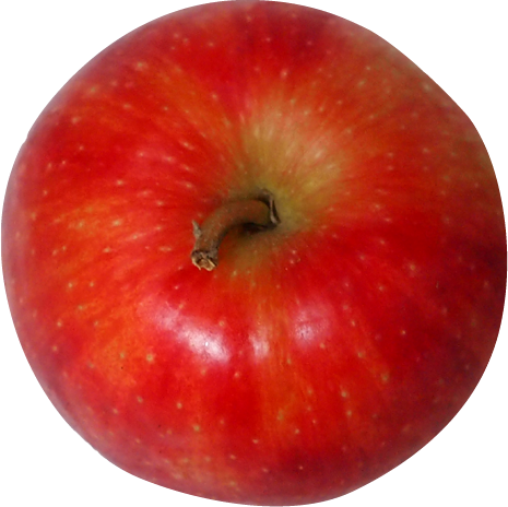 リンゴの切抜き画像4