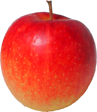 リンゴの切抜き画像7