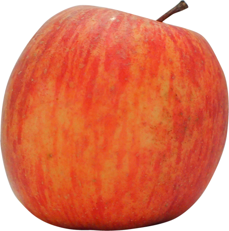リンゴの切抜き画像10