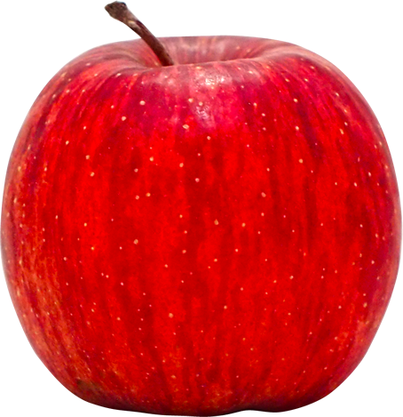 リンゴの切抜き画像1