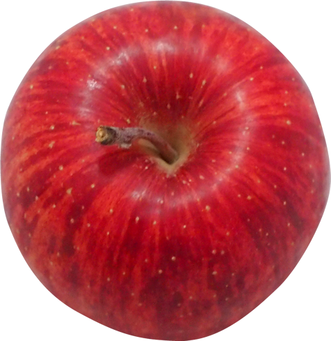 リンゴの切抜き画像2
