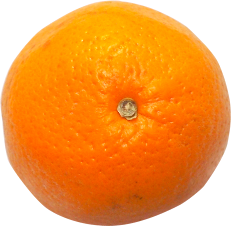 バレンシアオレンジの切抜き画像1