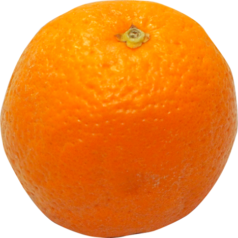 バレンシアオレンジの切抜き画像2