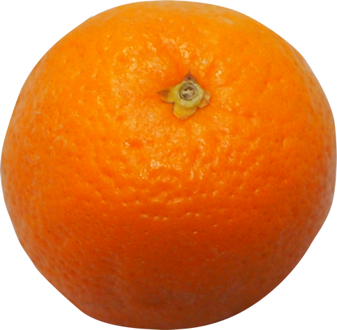 バレンシアオレンジの切抜き画像3