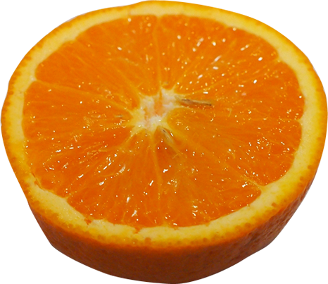 バレンシアオレンジの切抜き画像4