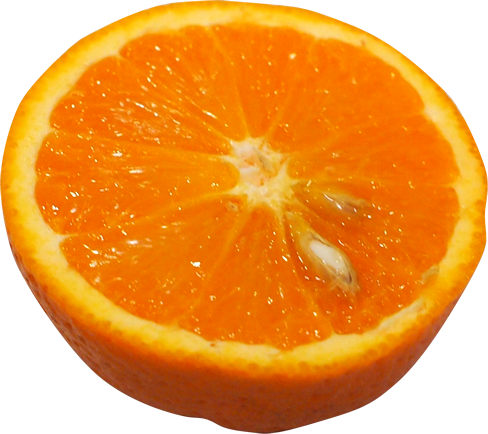 バレンシアオレンジの切抜き画像5