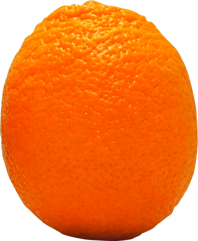 バレンシアオレンジの切抜き画像7
