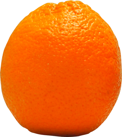 バレンシアオレンジの切抜き画像8