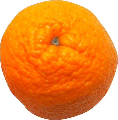 バレンシアオレンジの切抜き画像9