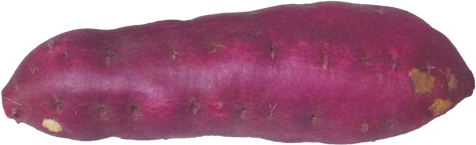 サツマイモの切抜き画像6