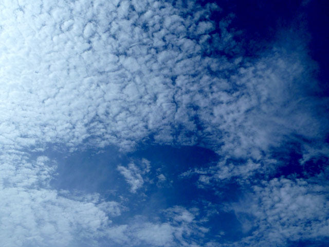 うろこ雲の写真画像1