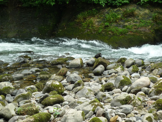 渓流の写真画像