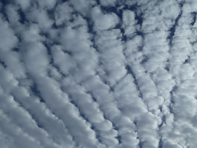 うろこ雲の写真画像2