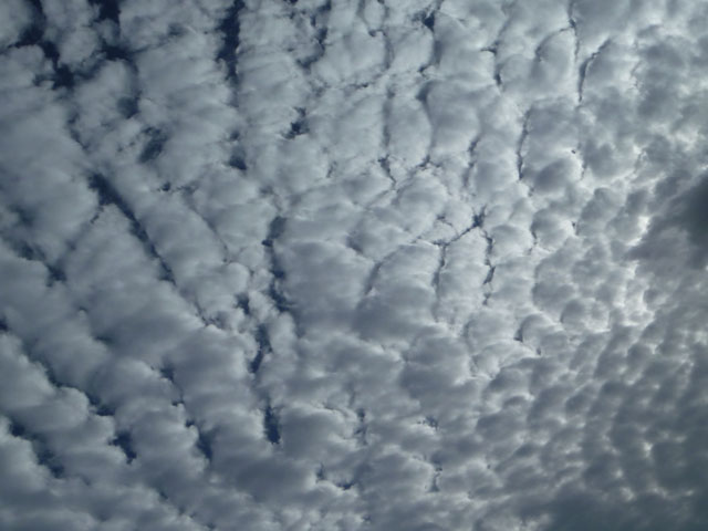 うろこ雲の写真画像3