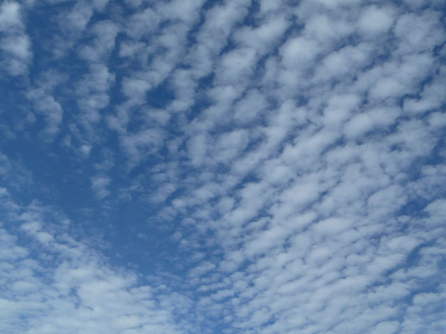 うろこ雲の写真画像4