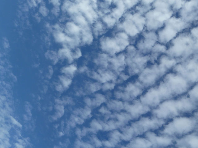 うろこ雲の写真画像5