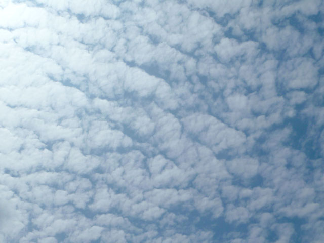 うろこ雲の写真画像6
