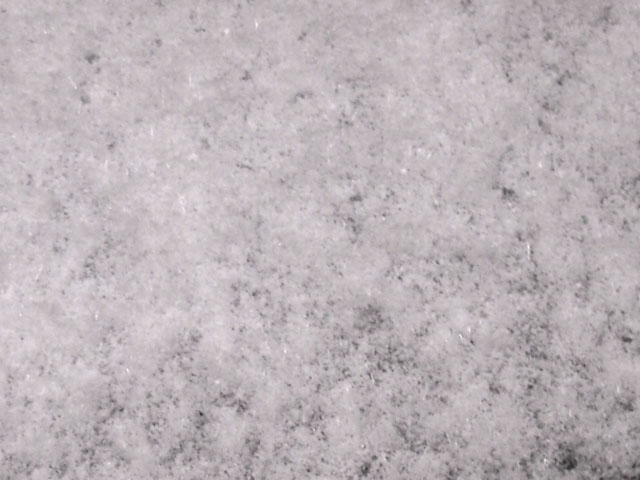 雪の写真画像