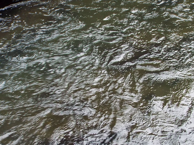 川の水面の写真画像