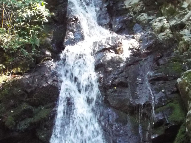 滝の写真画像