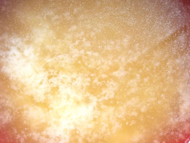 味噌汁の写真画像