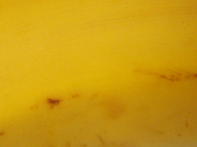 バナナの表皮の写真画像