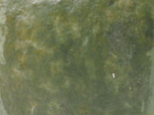 カボチャの表皮の写真画像