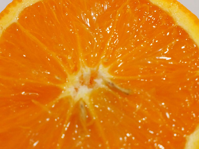 バレンシアオレンジの果肉のアップの写真画像