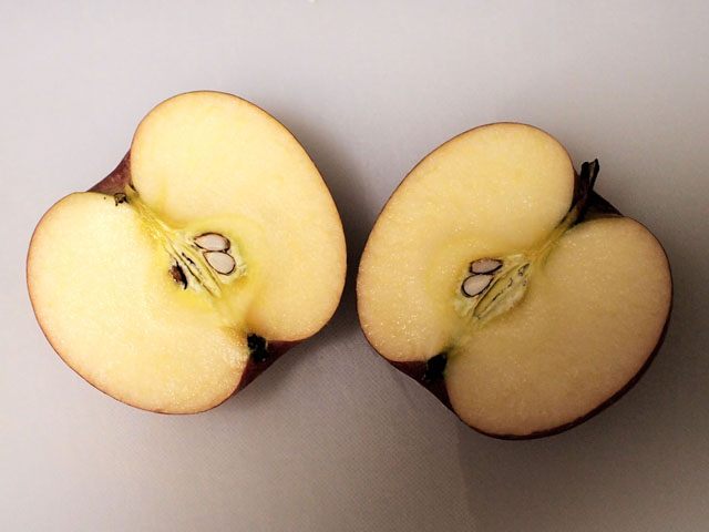 リンゴの断面の写真画像