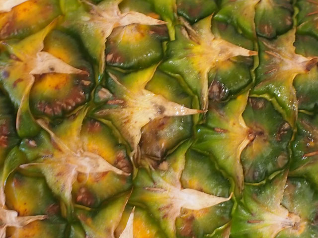 パイナップルの表皮の写真画像