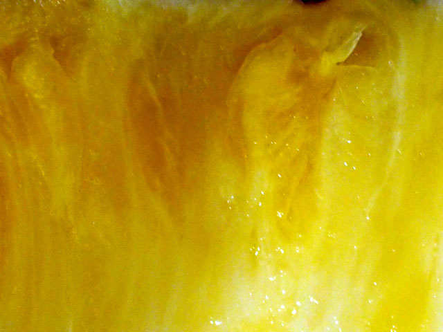 パイナップルのの果肉のアップの写真画像