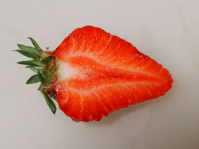 イチゴの断面の写真画像