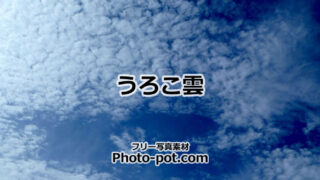 うろこ雲の写真画像