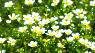 Thumbnail of post image 165