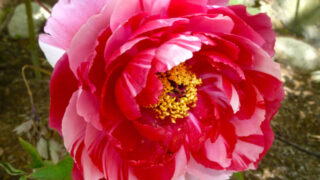 Thumbnail of post image 093