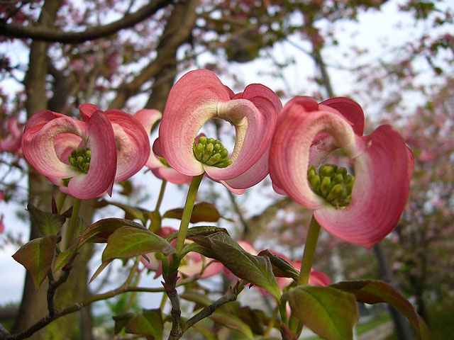Thumbnail of related posts 195
