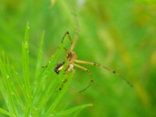 Thumbnail of post image 073