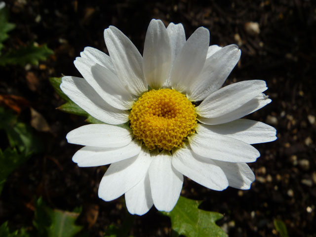 Thumbnail of post image 064