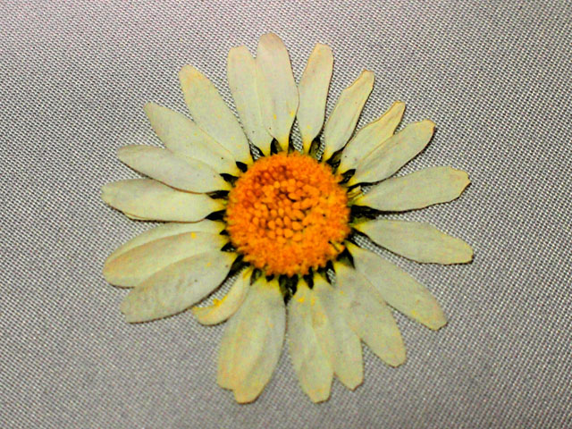 Thumbnail of post image 096
