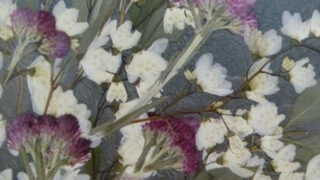 Thumbnail of post image 107