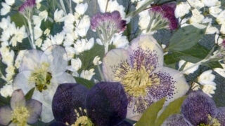 Thumbnail of post image 015